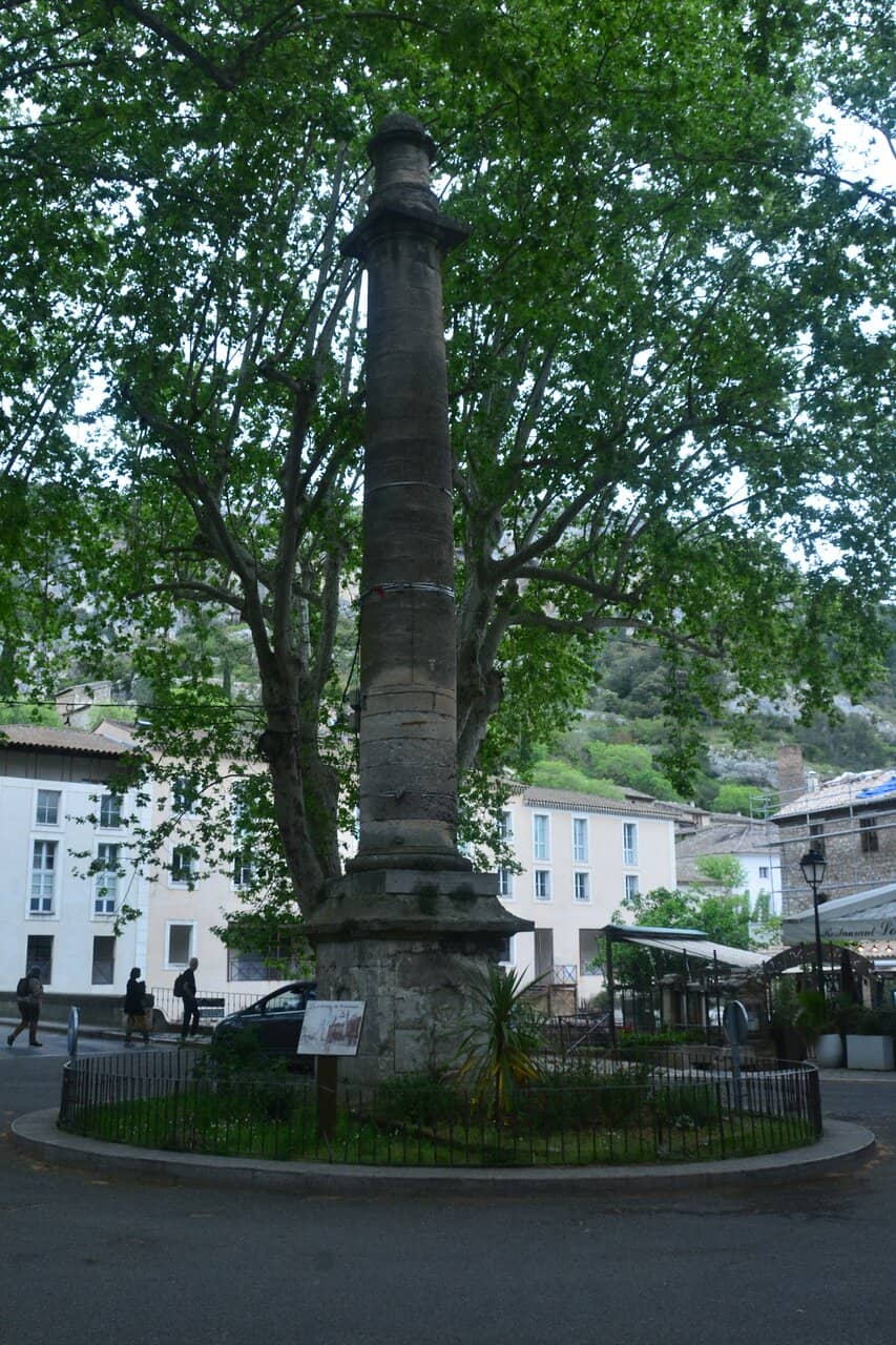 Vertical photo