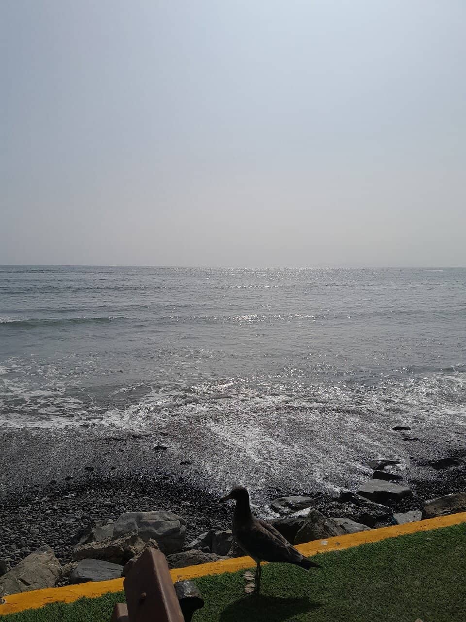 Vertical photo