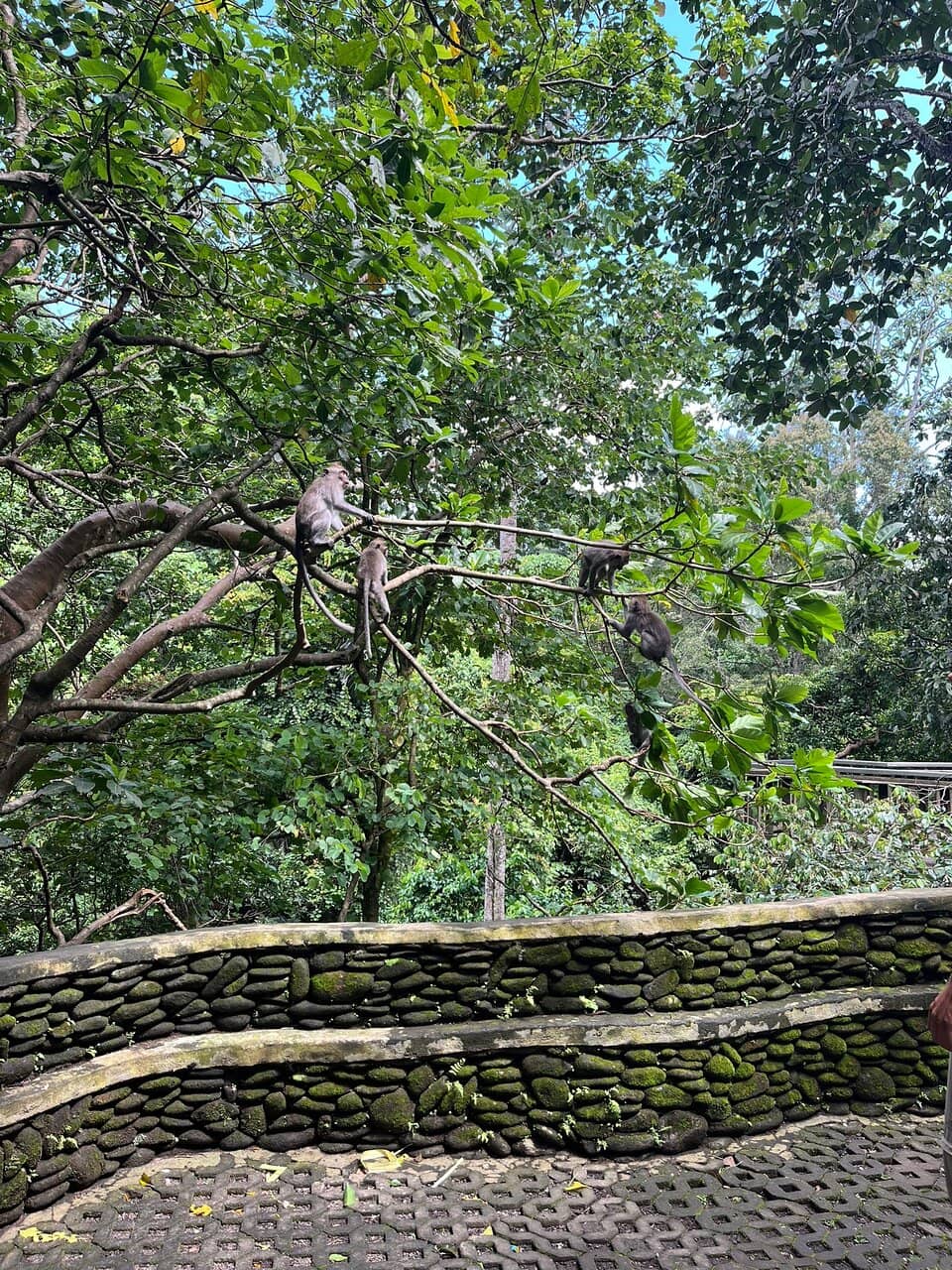 Vertical photo