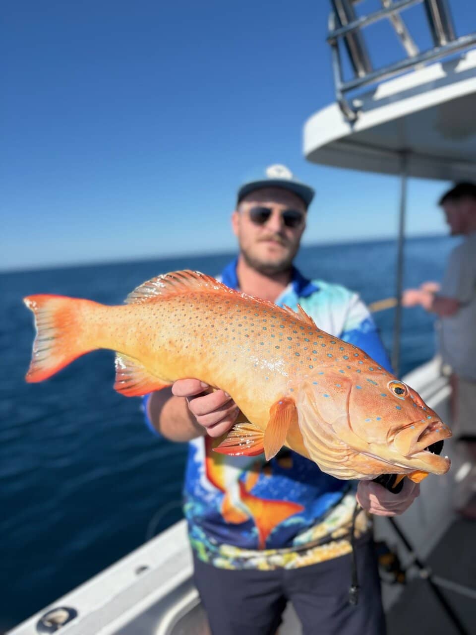 Snorkeling the Great Barrier Reef