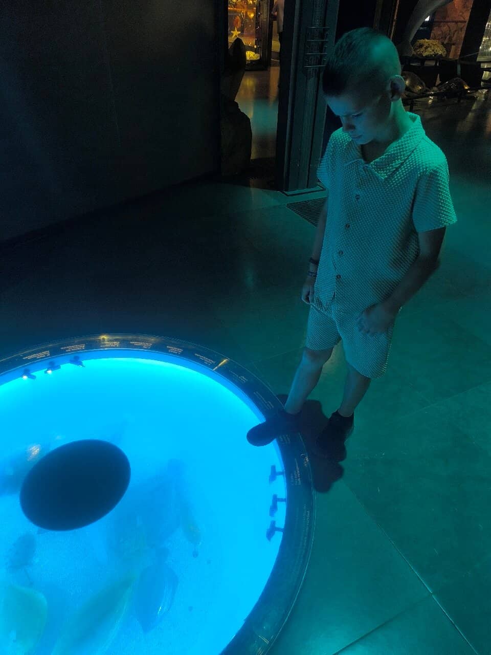 Gallery of Paleontology and Comparative Anatomy