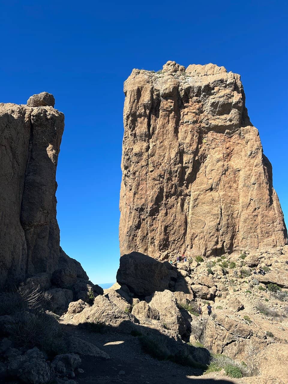 Vertical photo