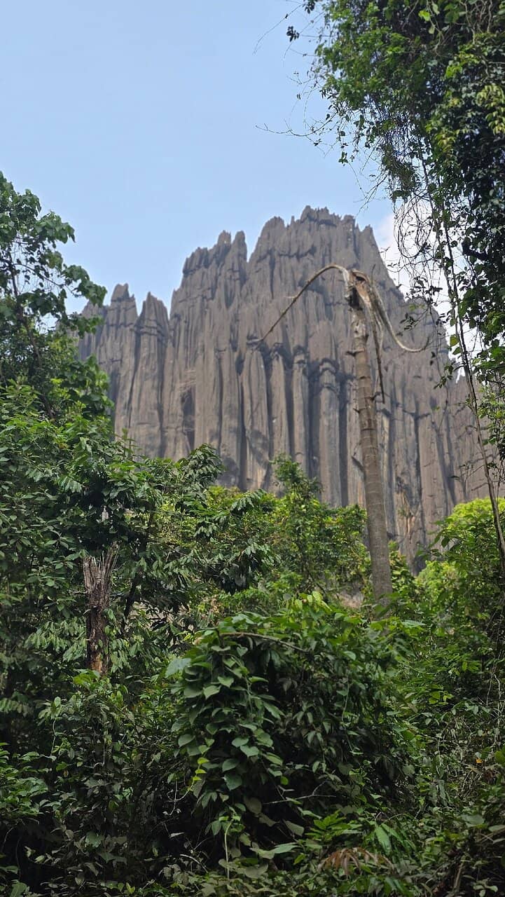 Vertical photo
