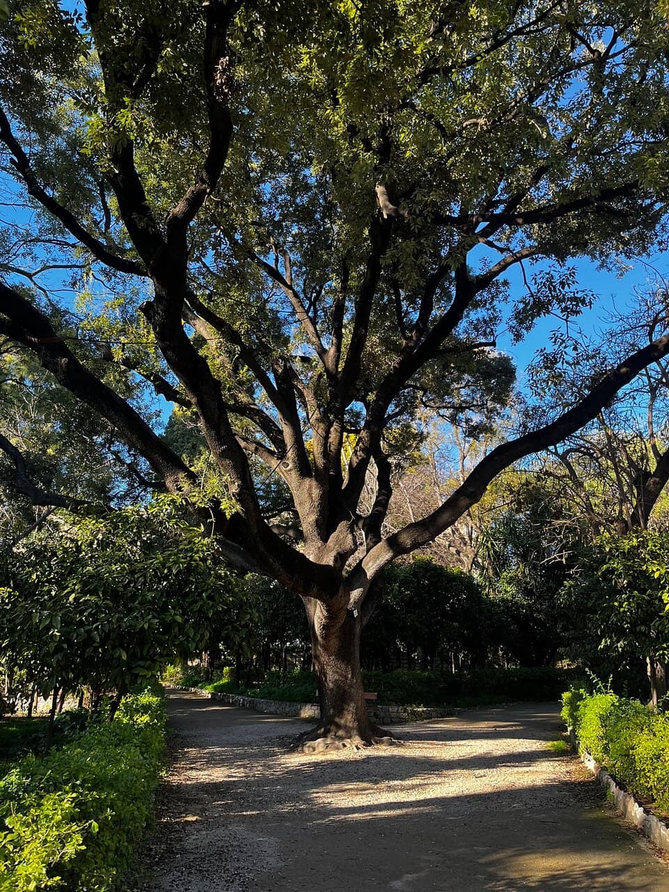 Botanical Museum