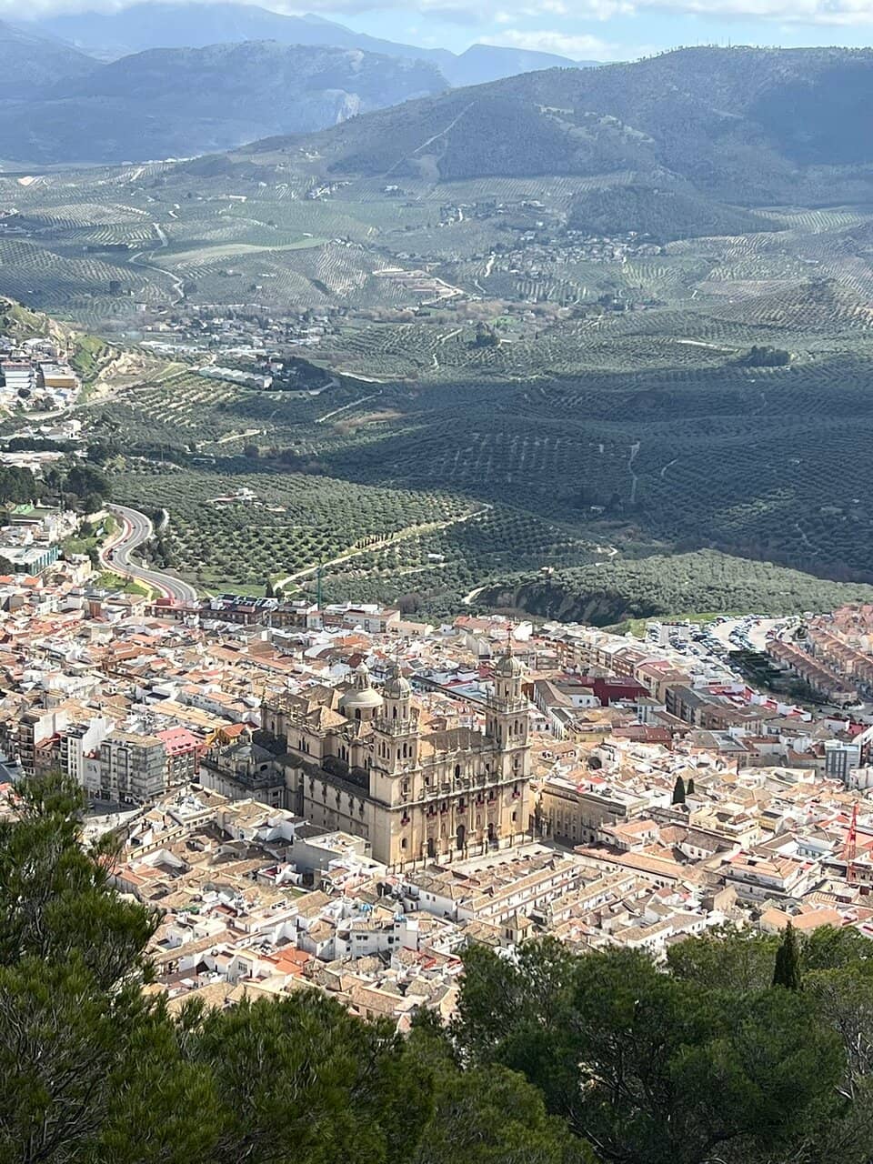Vertical photo