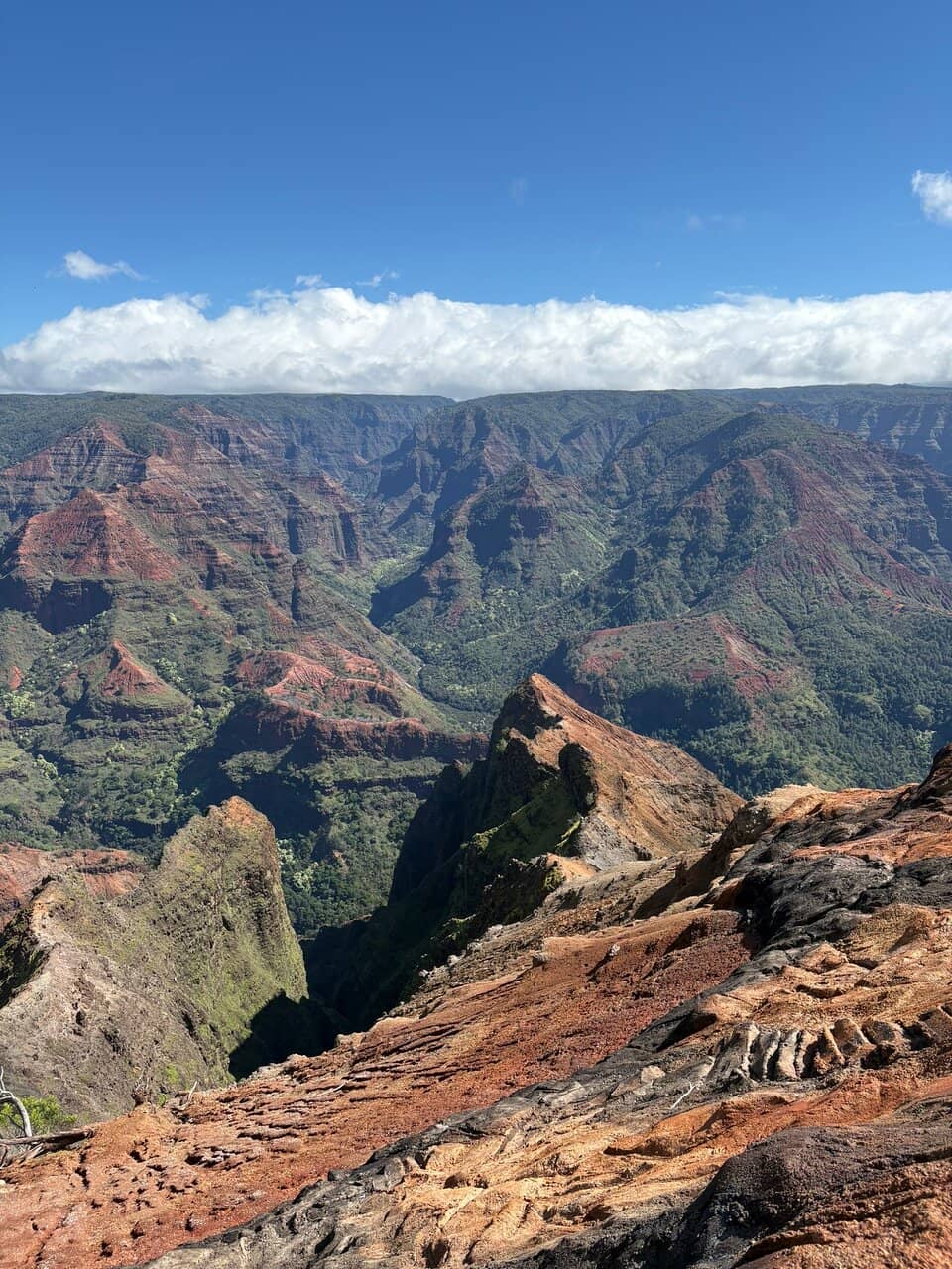 Pu'u O Kila Lookout