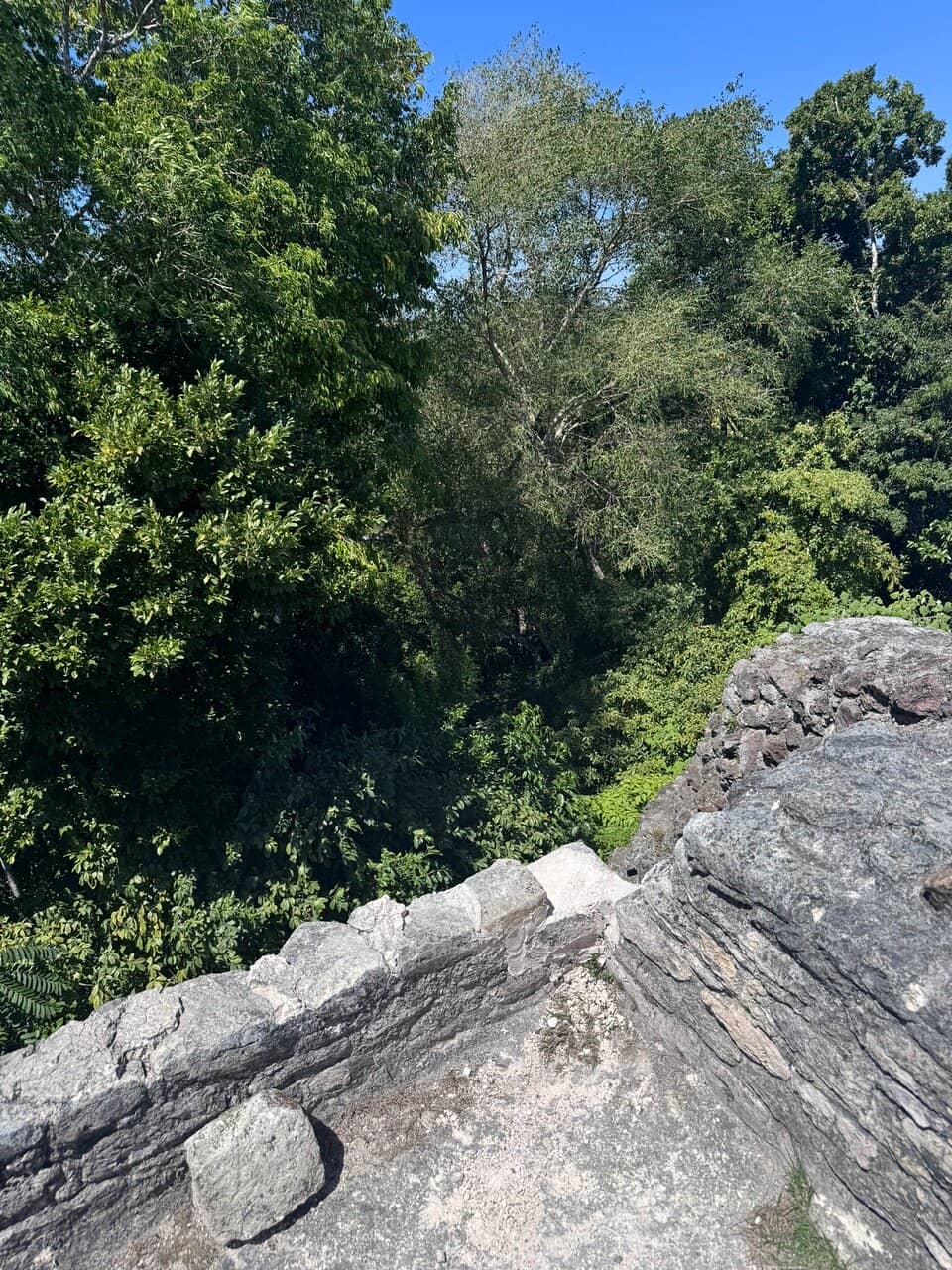 Vertical photo