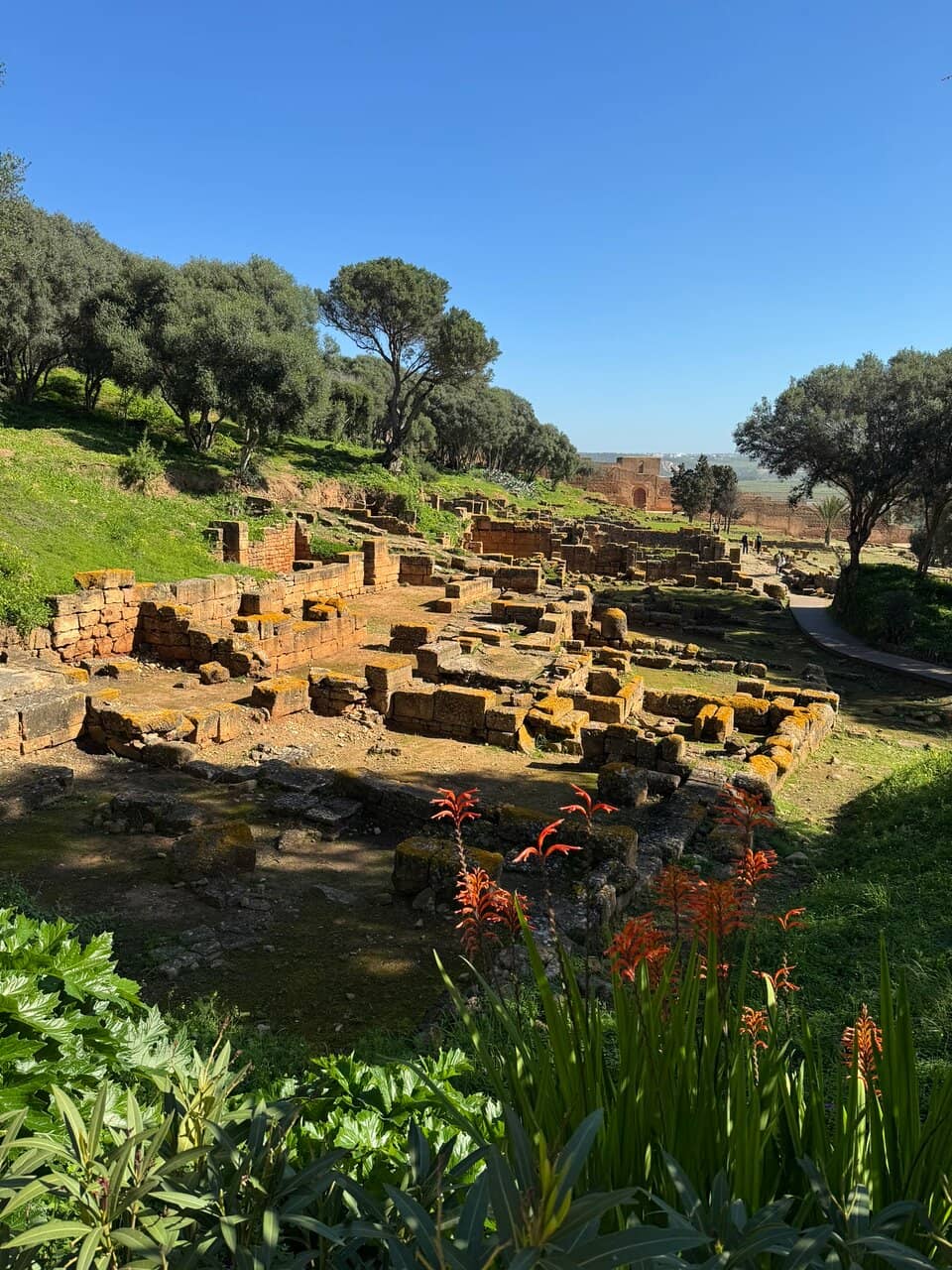 Tranquil Gardens