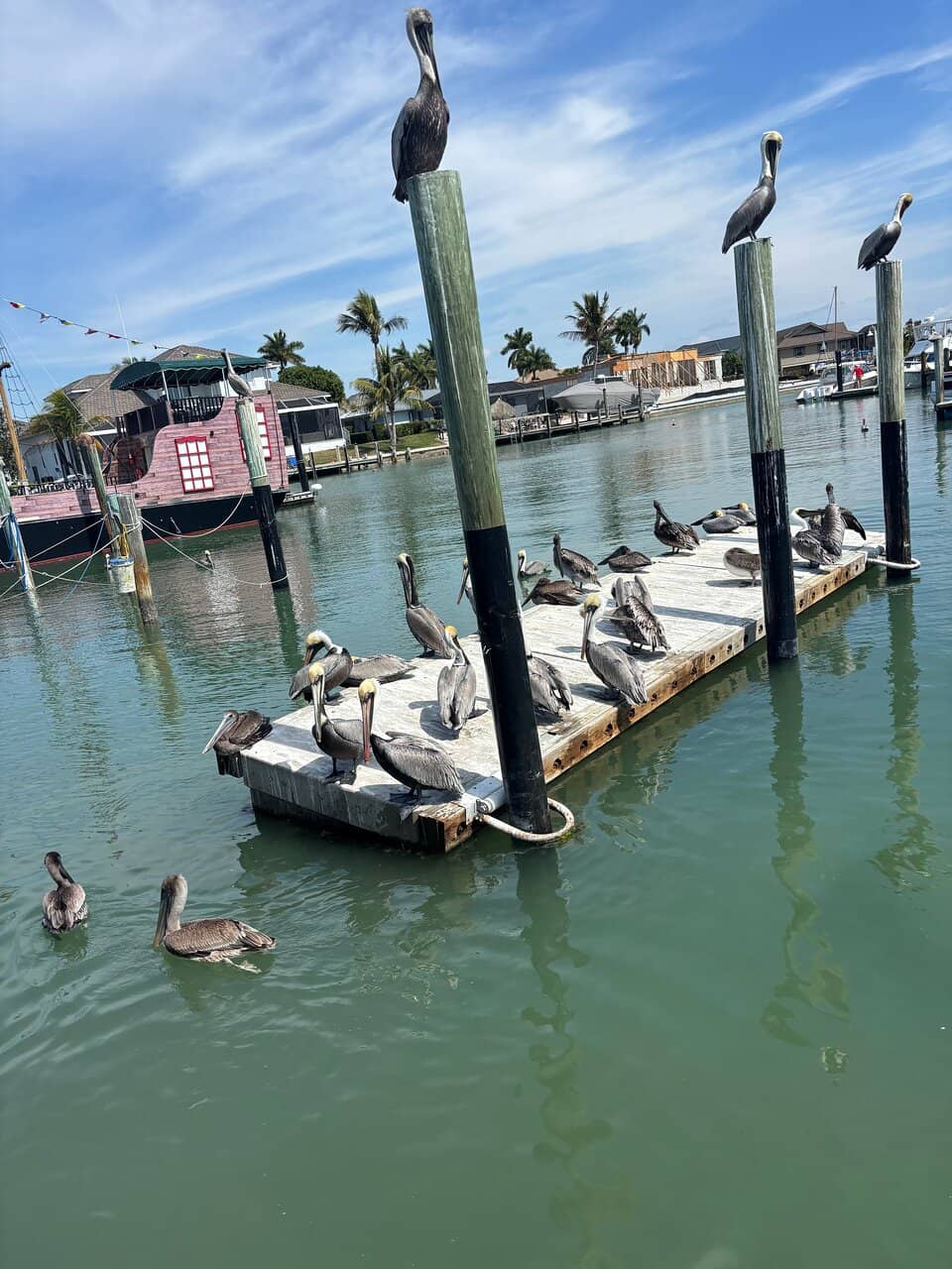 Boat Rentals