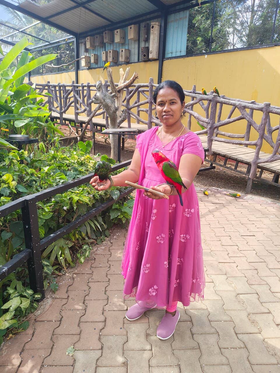 Interactive Activities