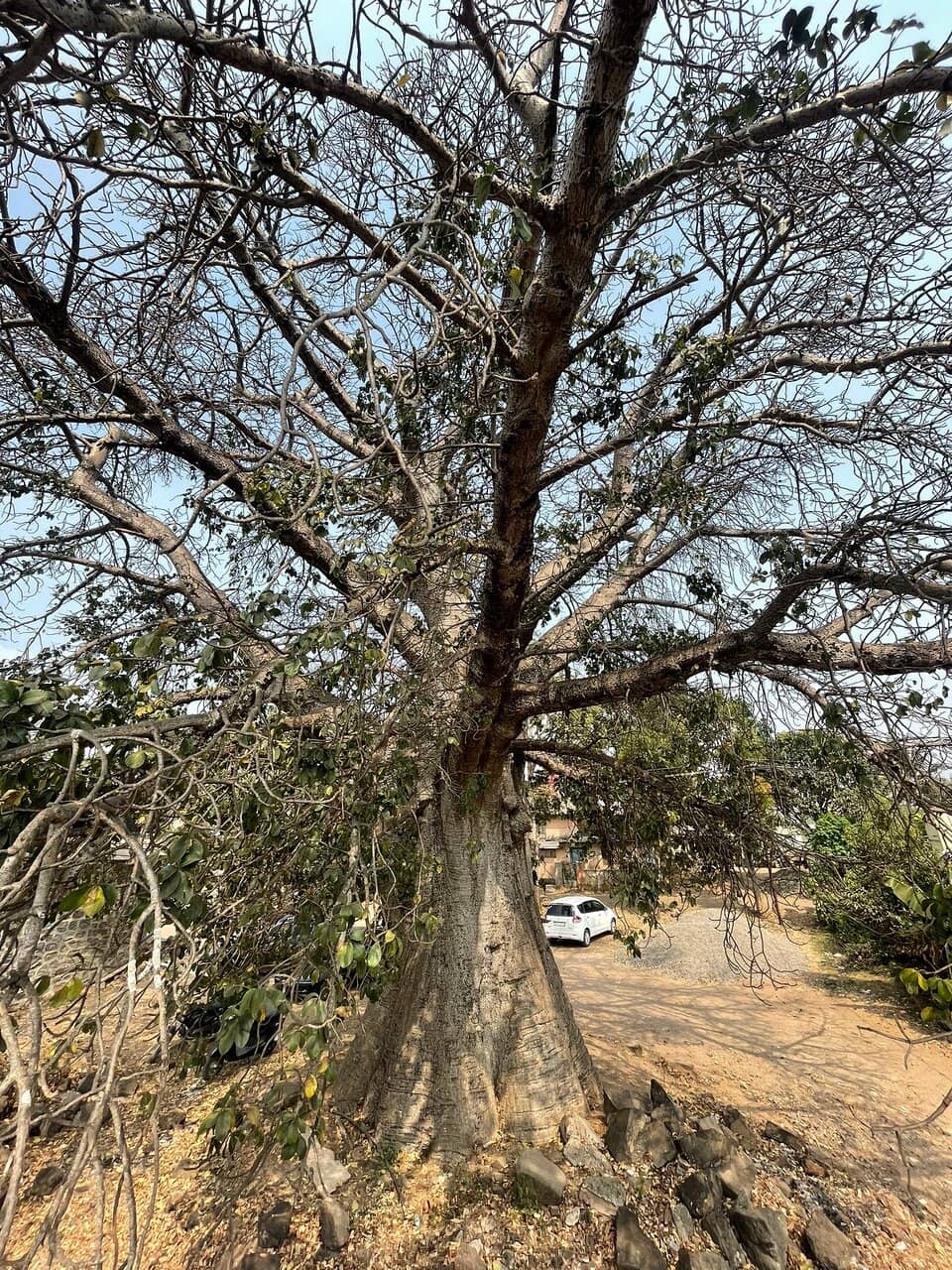 Historical Significance