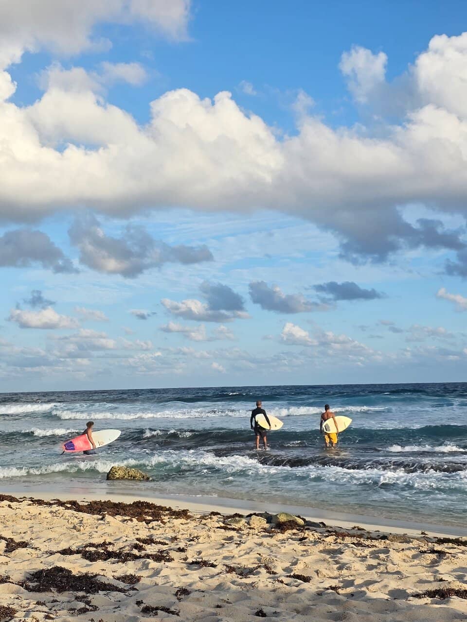 Natural Swimming Pools
