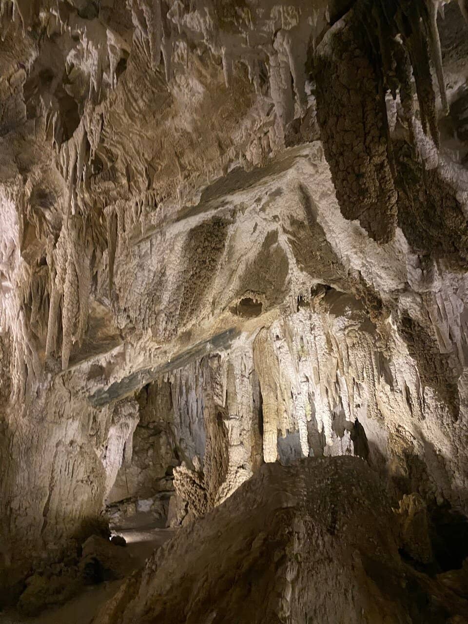 Informative Guided Tours