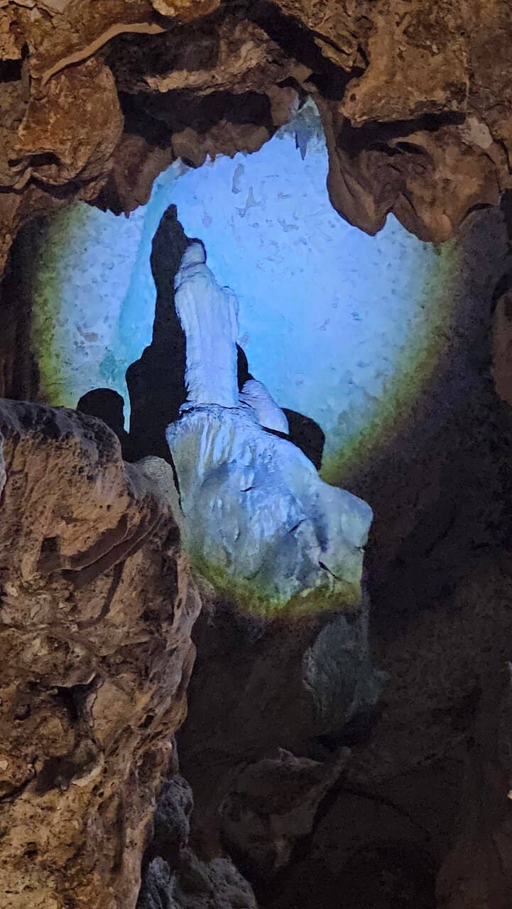 The Bat Chamber