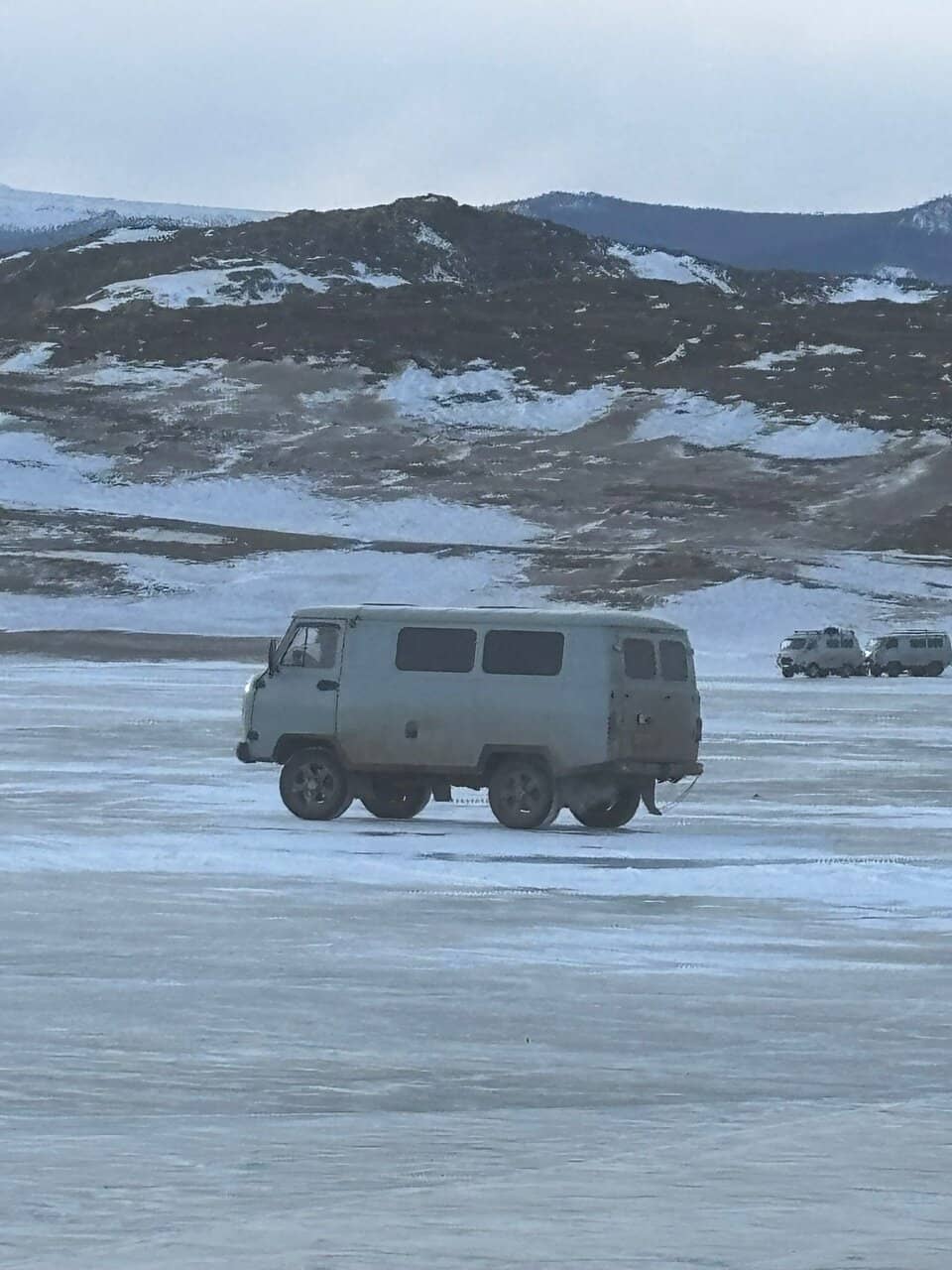 The Baikal Nerpa Seal