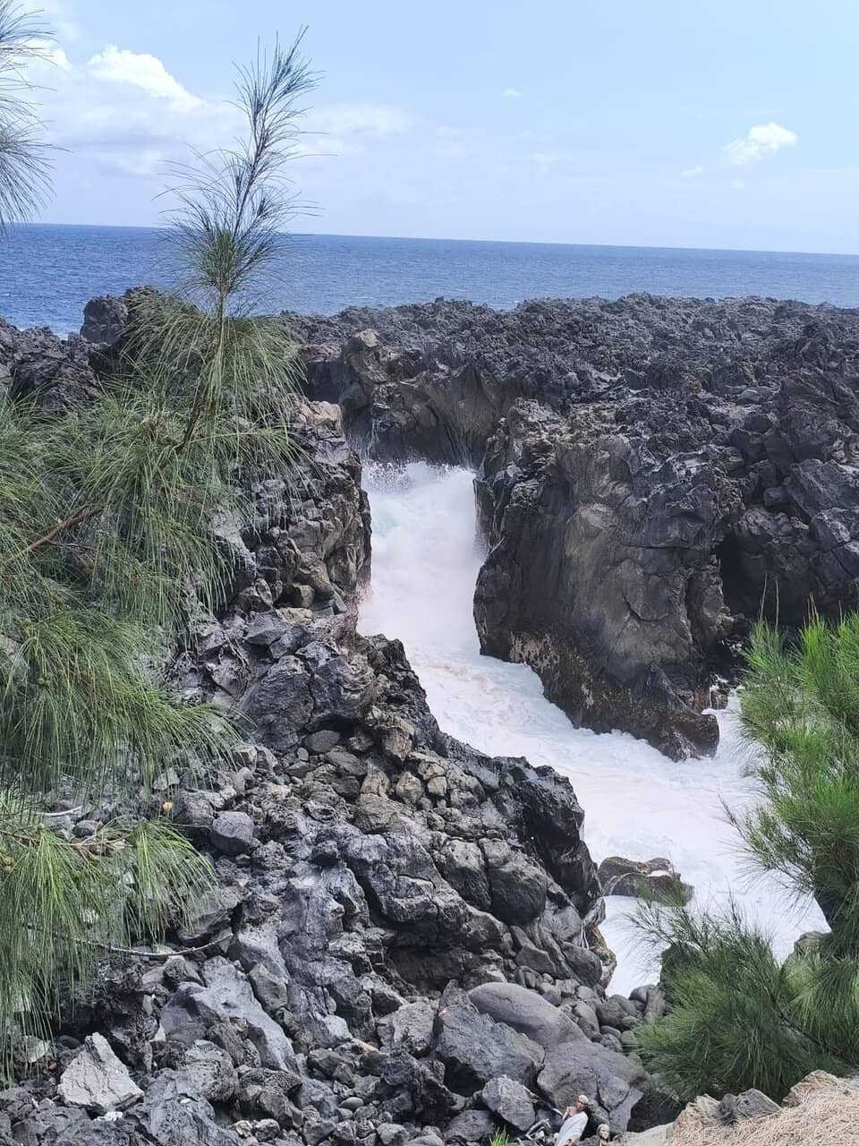 Vertical photo