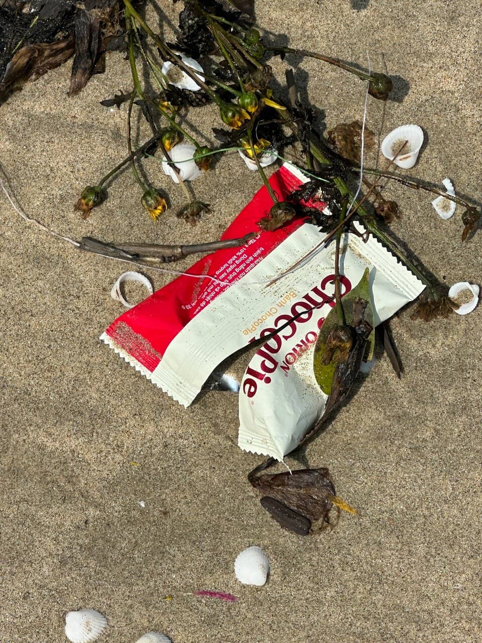 Dragon Bridge Fire Show