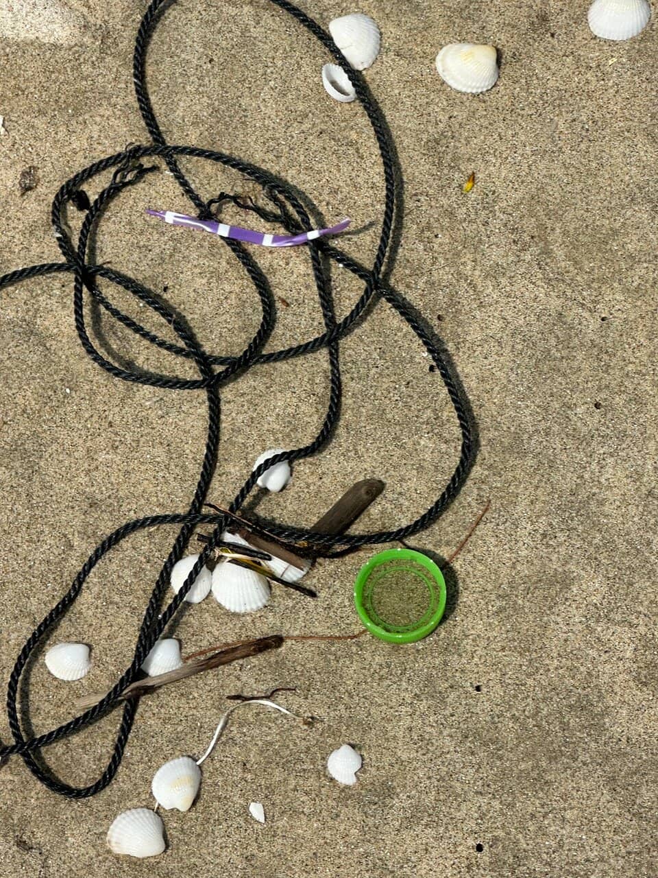 Surfing Opportunities