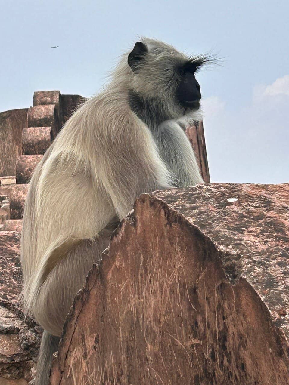 Vertical photo