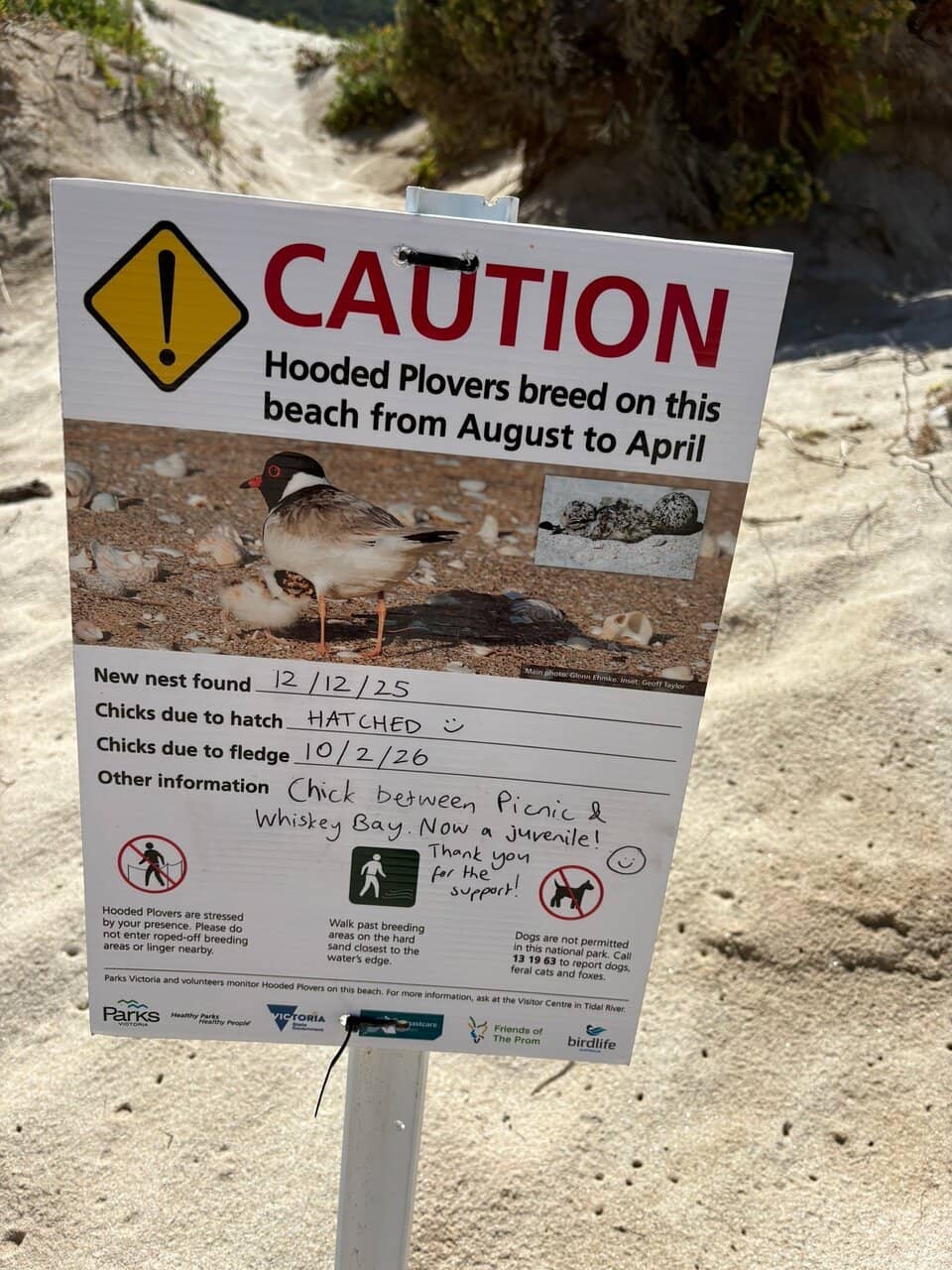 Scenic Bushwalk to the Beach