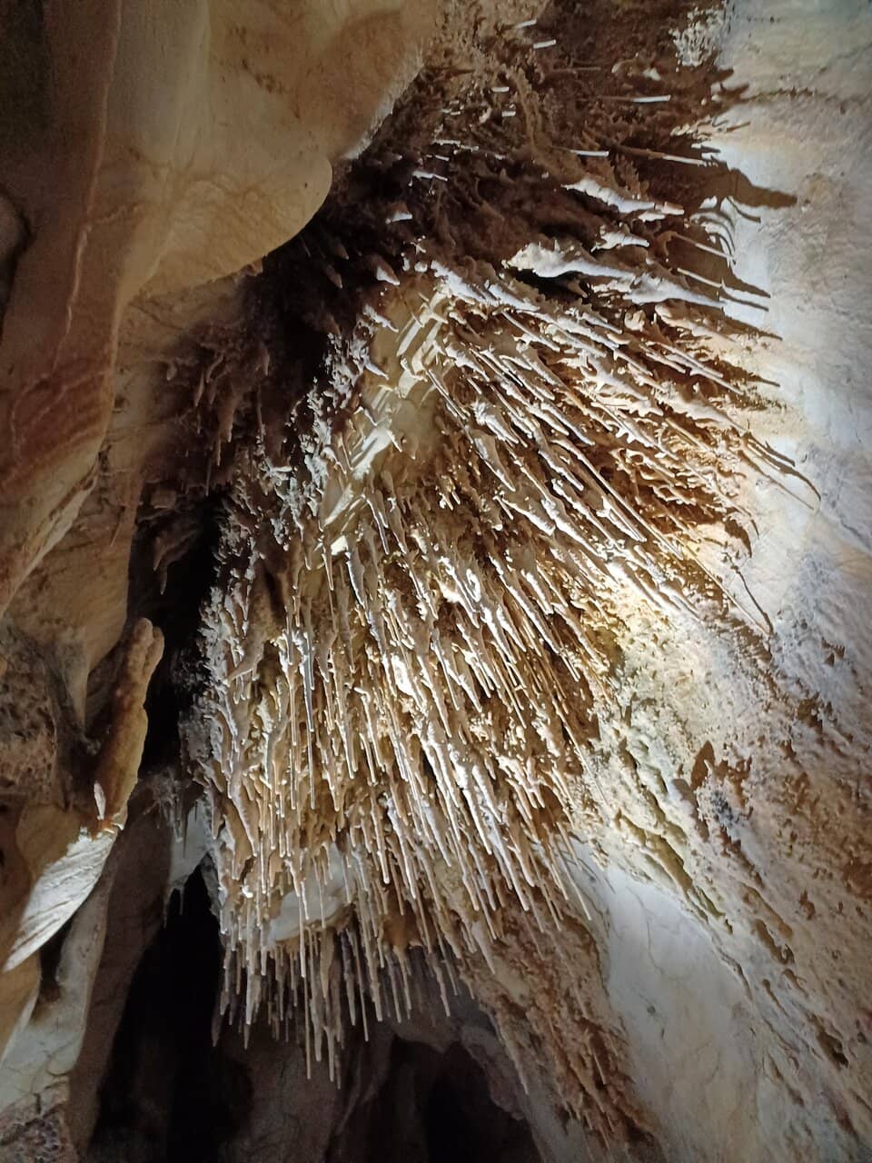 Vertical photo