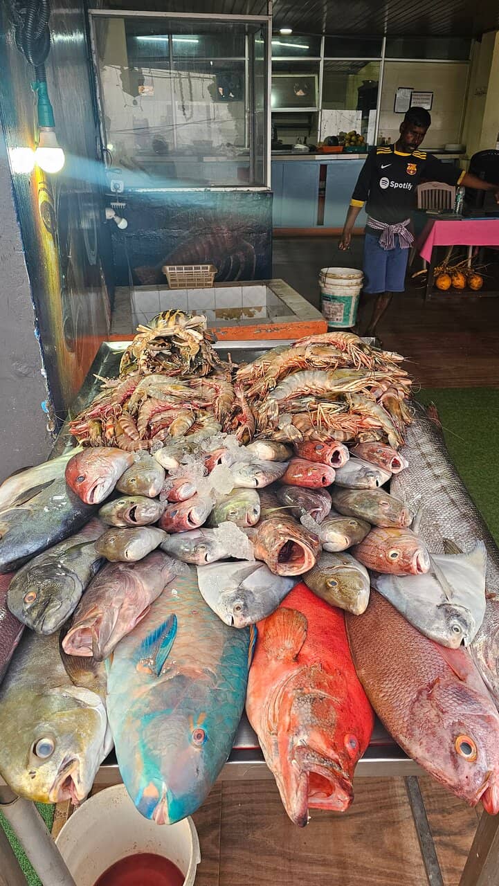 Peaceful Seaside Escape