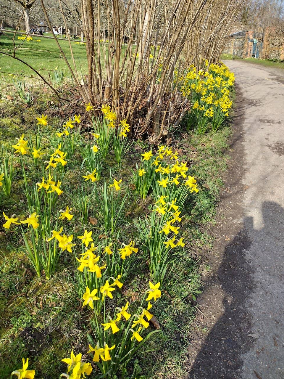 Chalk Stream Serenity