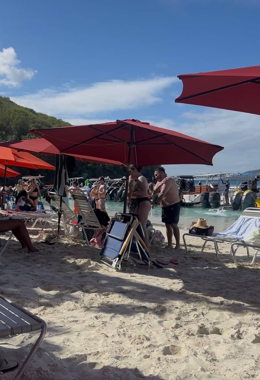 Local Flavors & Drinks