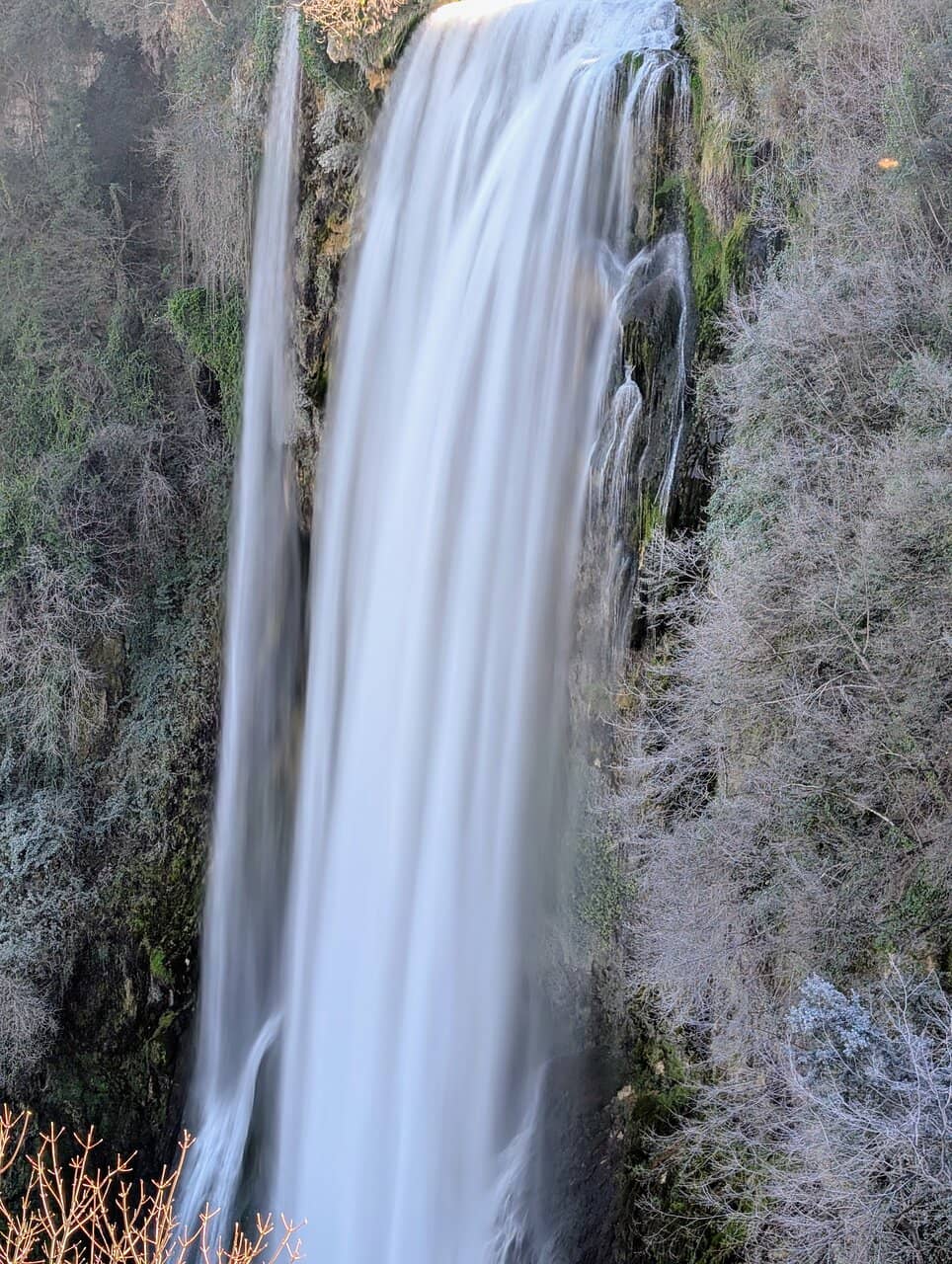 Vertical photo