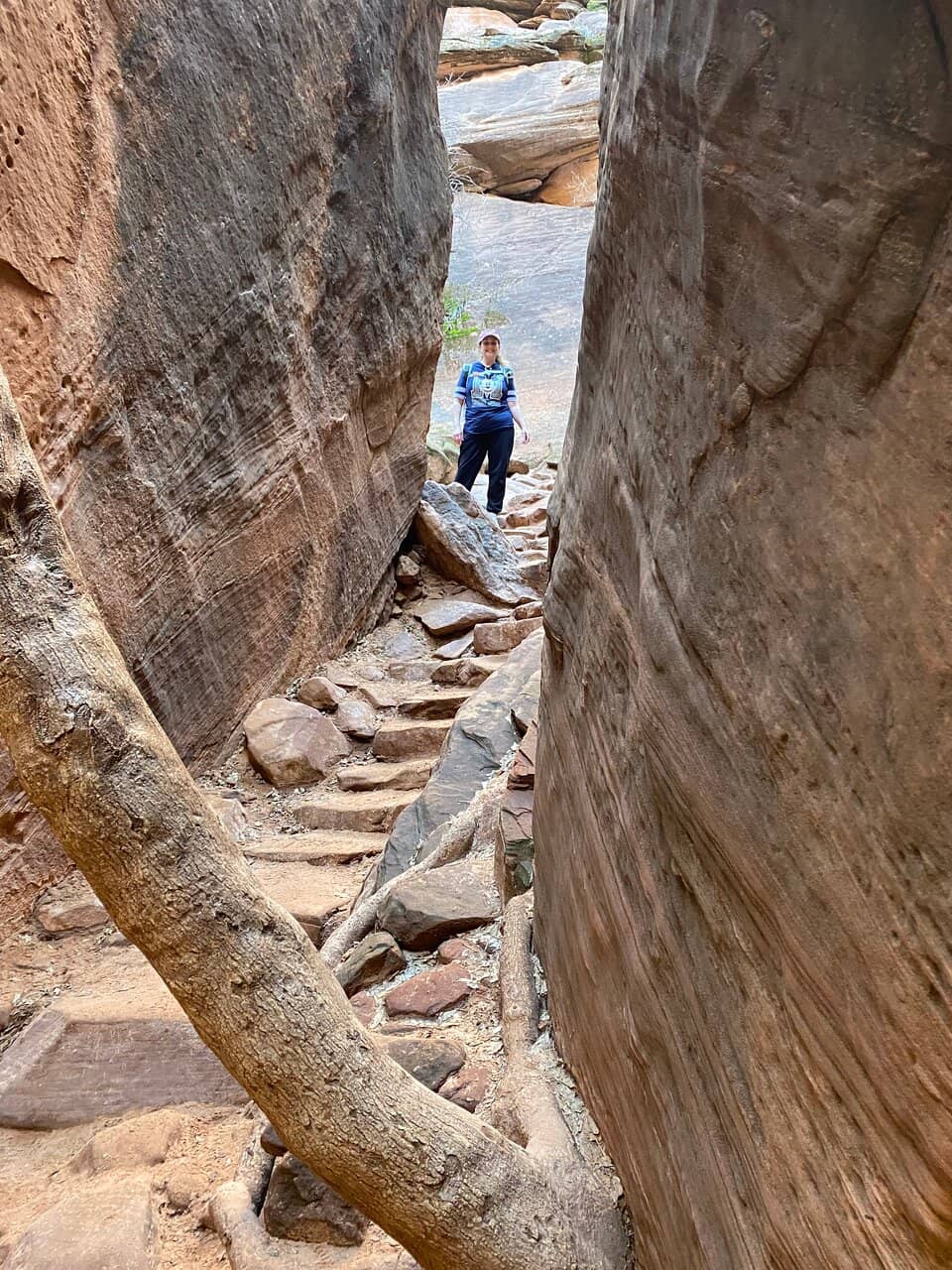 Vertical photo