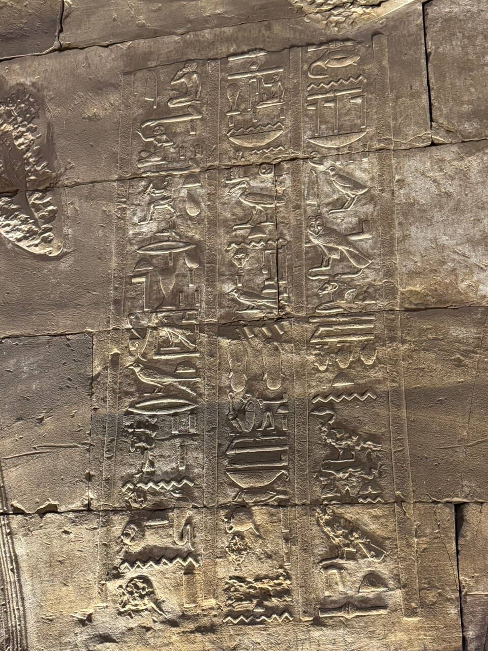Vertical photo