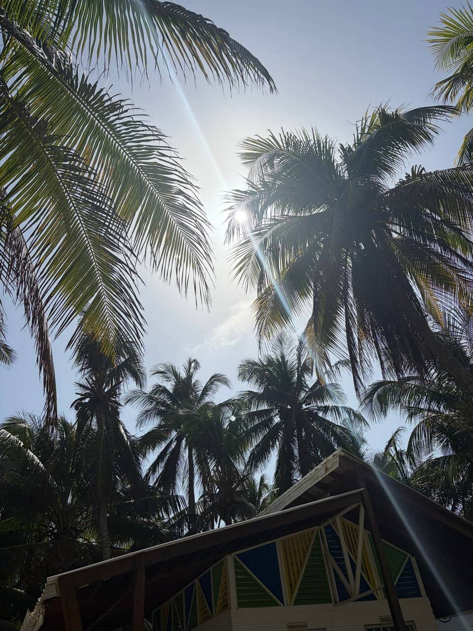 Local Island Flavors