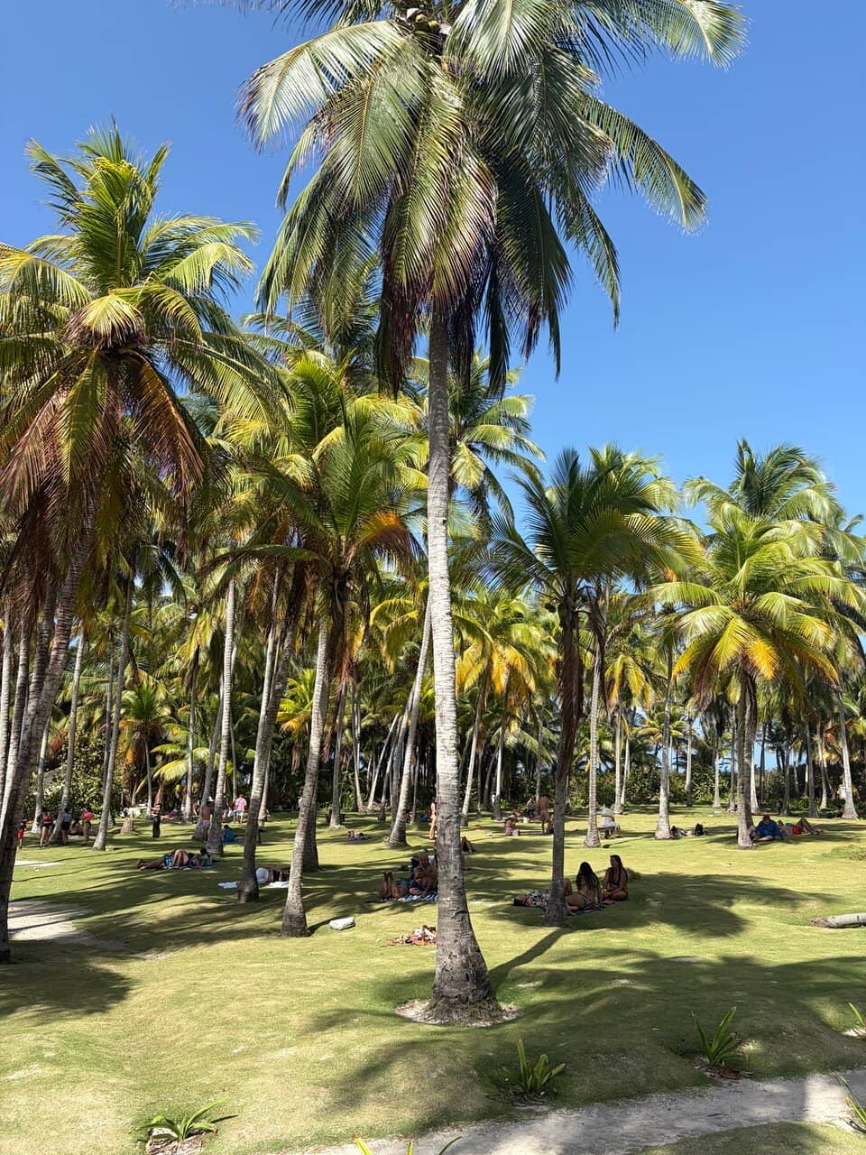 Snorkeling Adventures