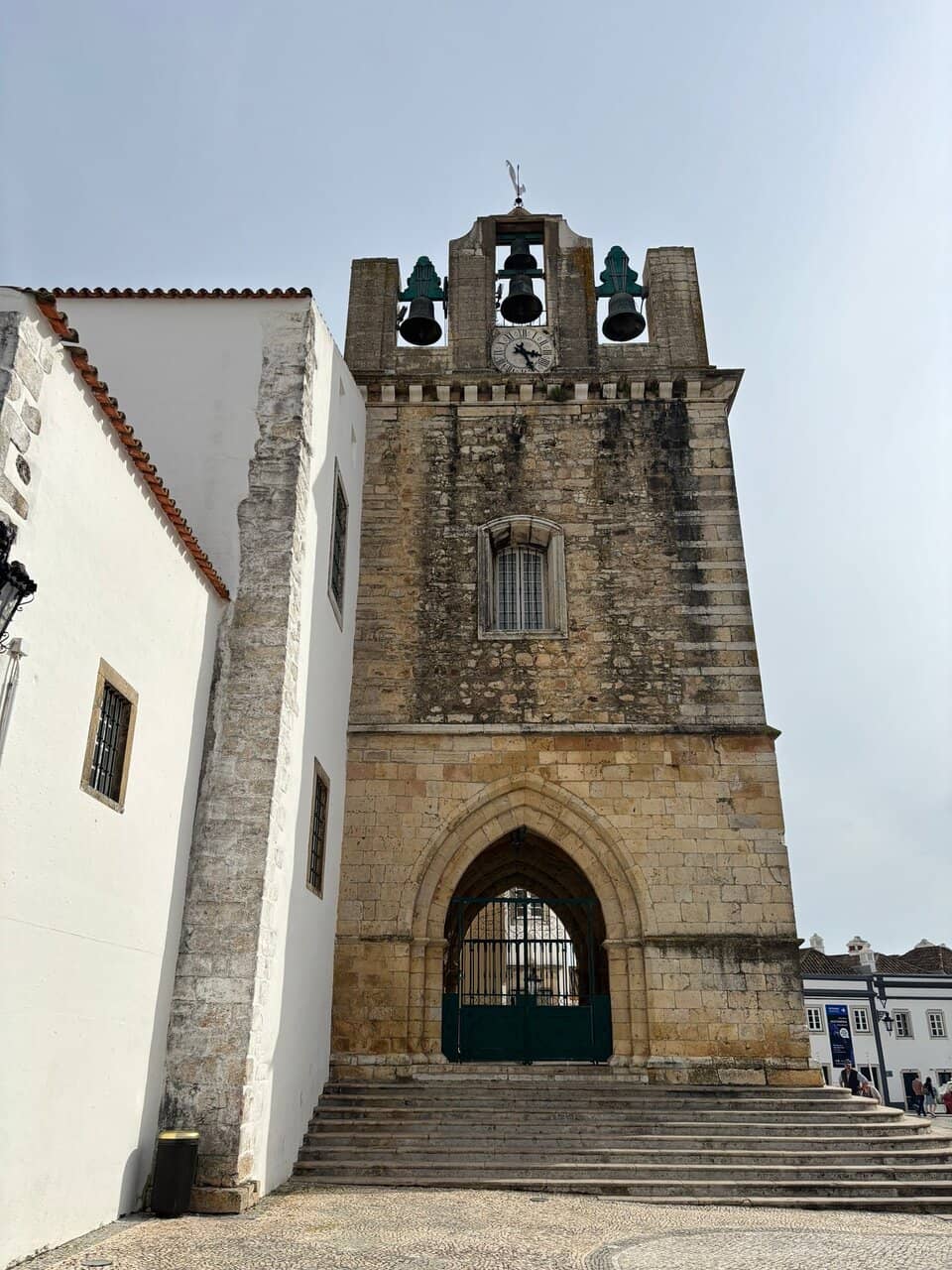 Vertical photo