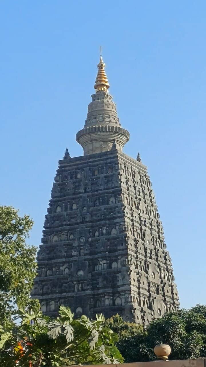 Vertical photo