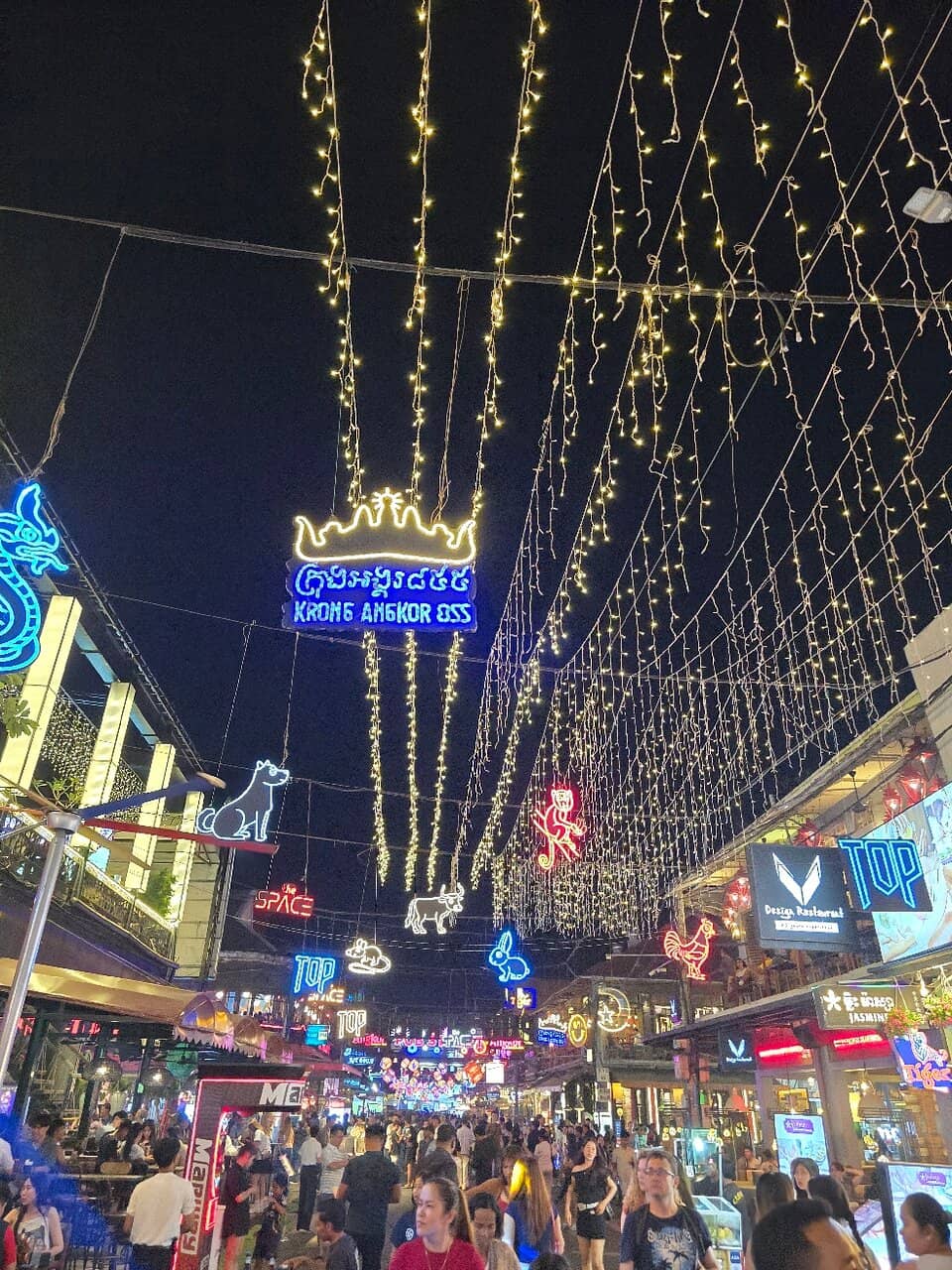 Street Food Delights