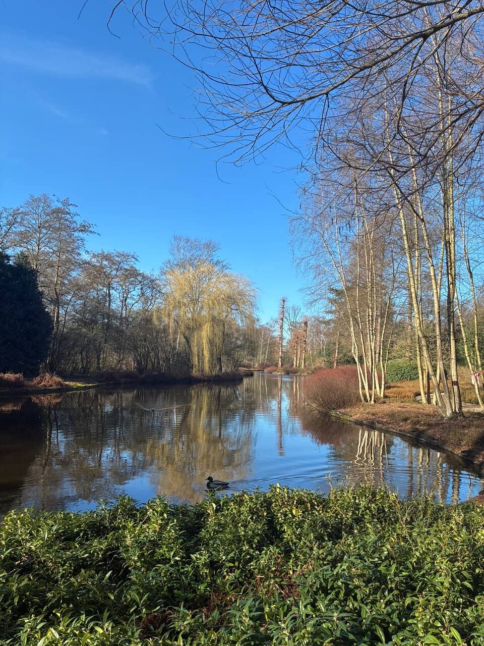 Ecological Stacking Wall