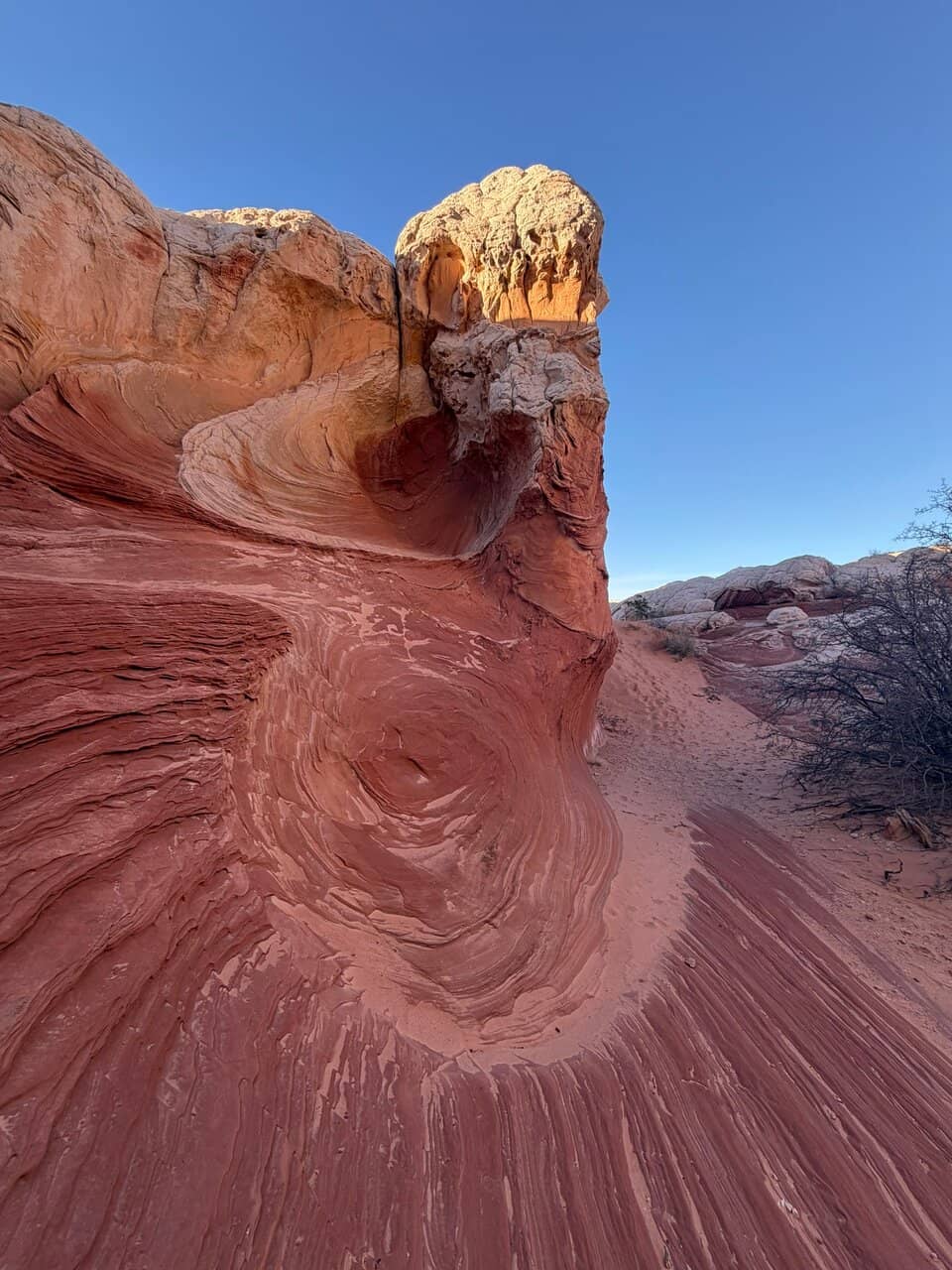 Vertical photo