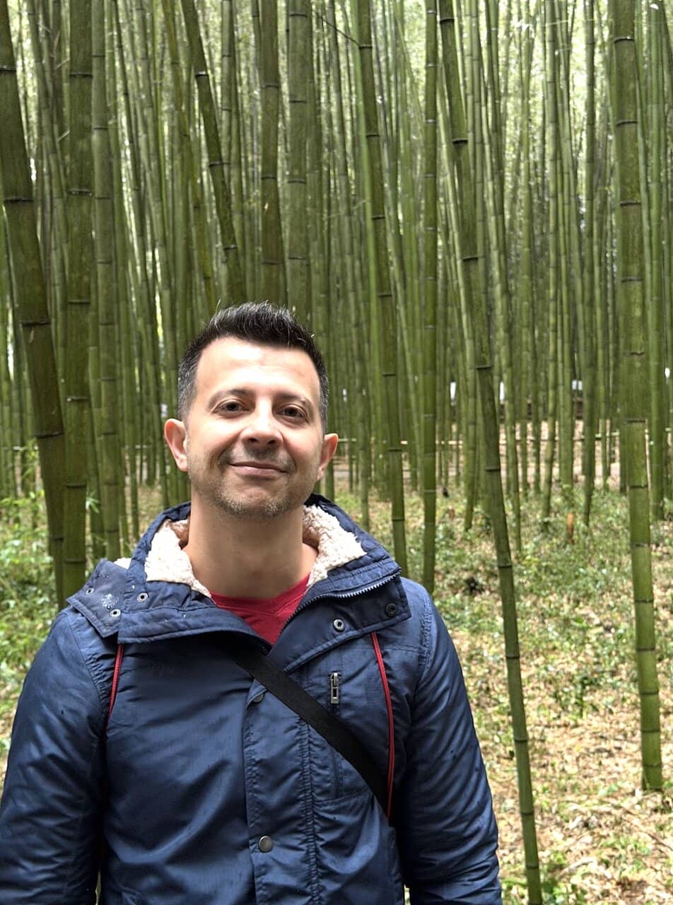 Sunlight Filtering Through