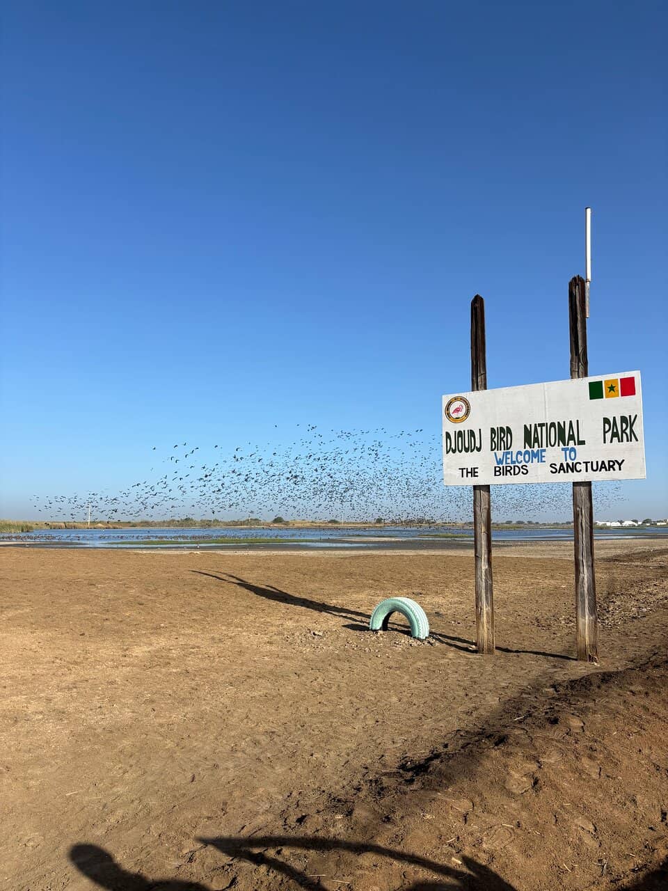 Watchtowers (Miradors)