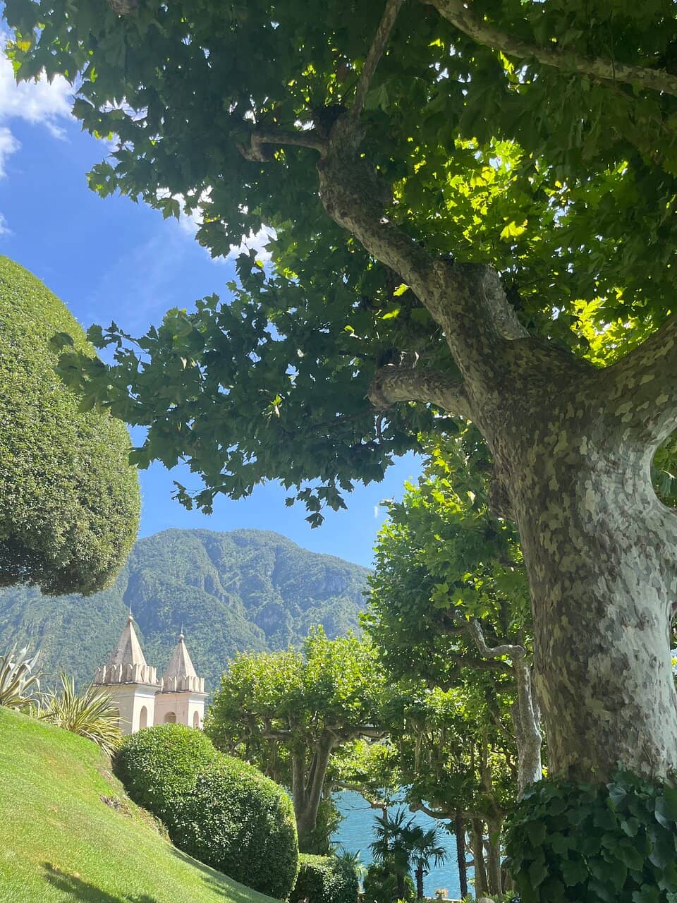 Vertical photo