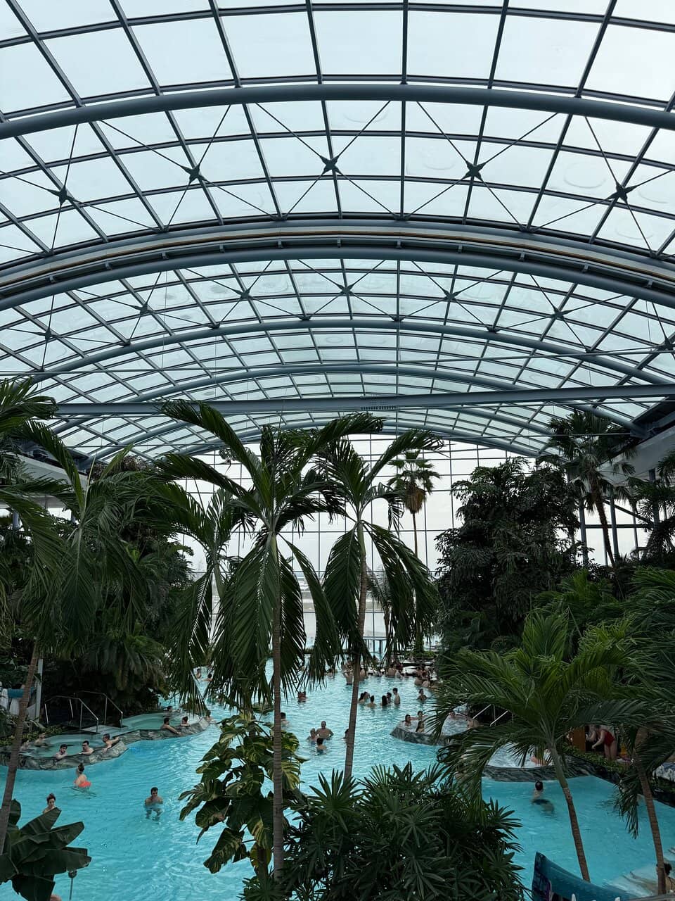 The Palm