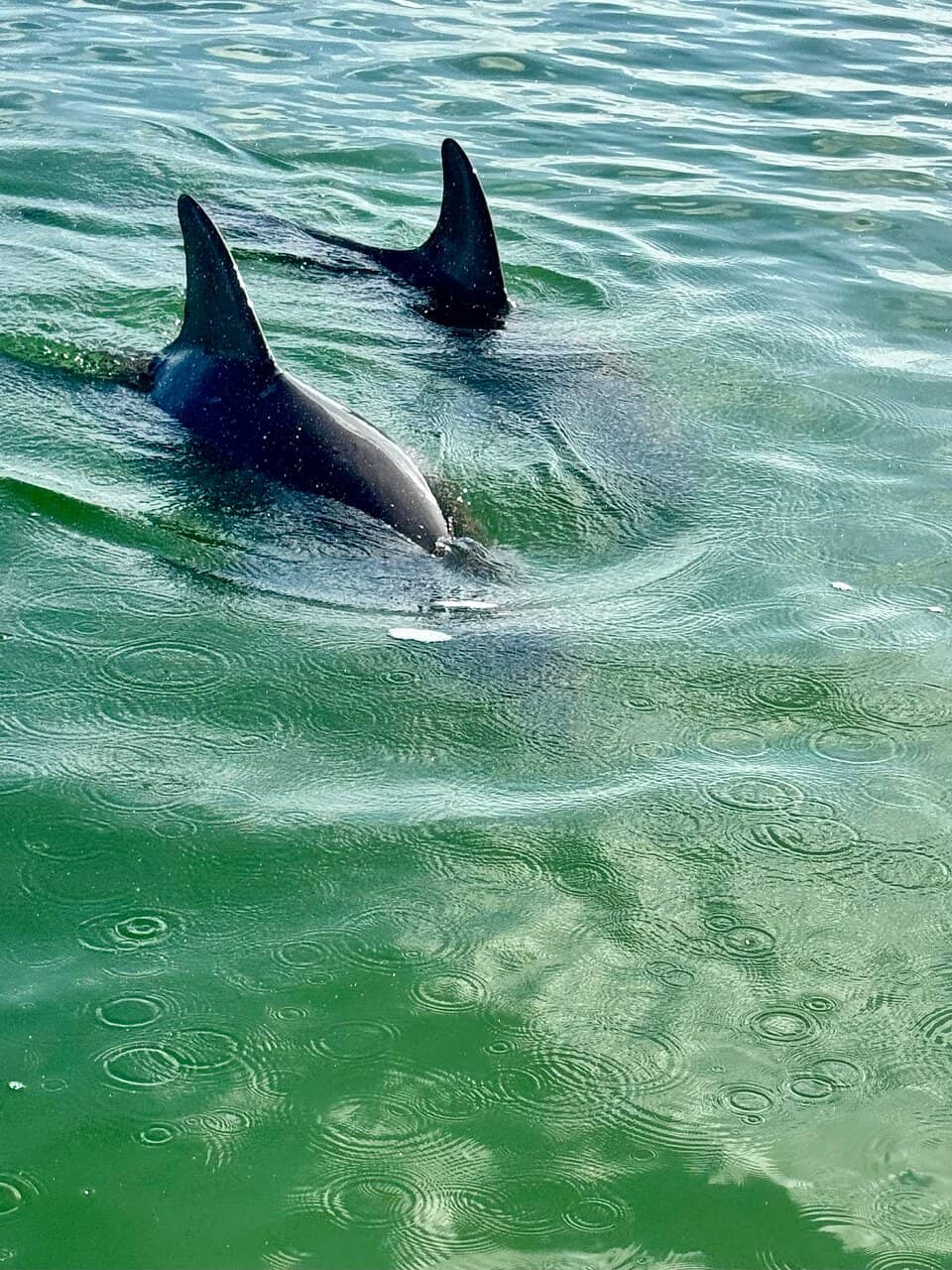 Punta Allen