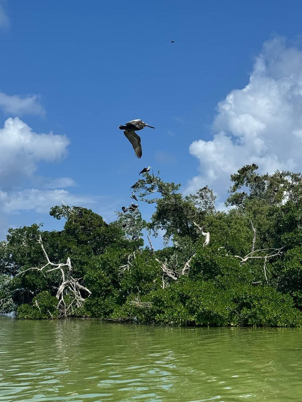 Cenote Escondido & Cristal
