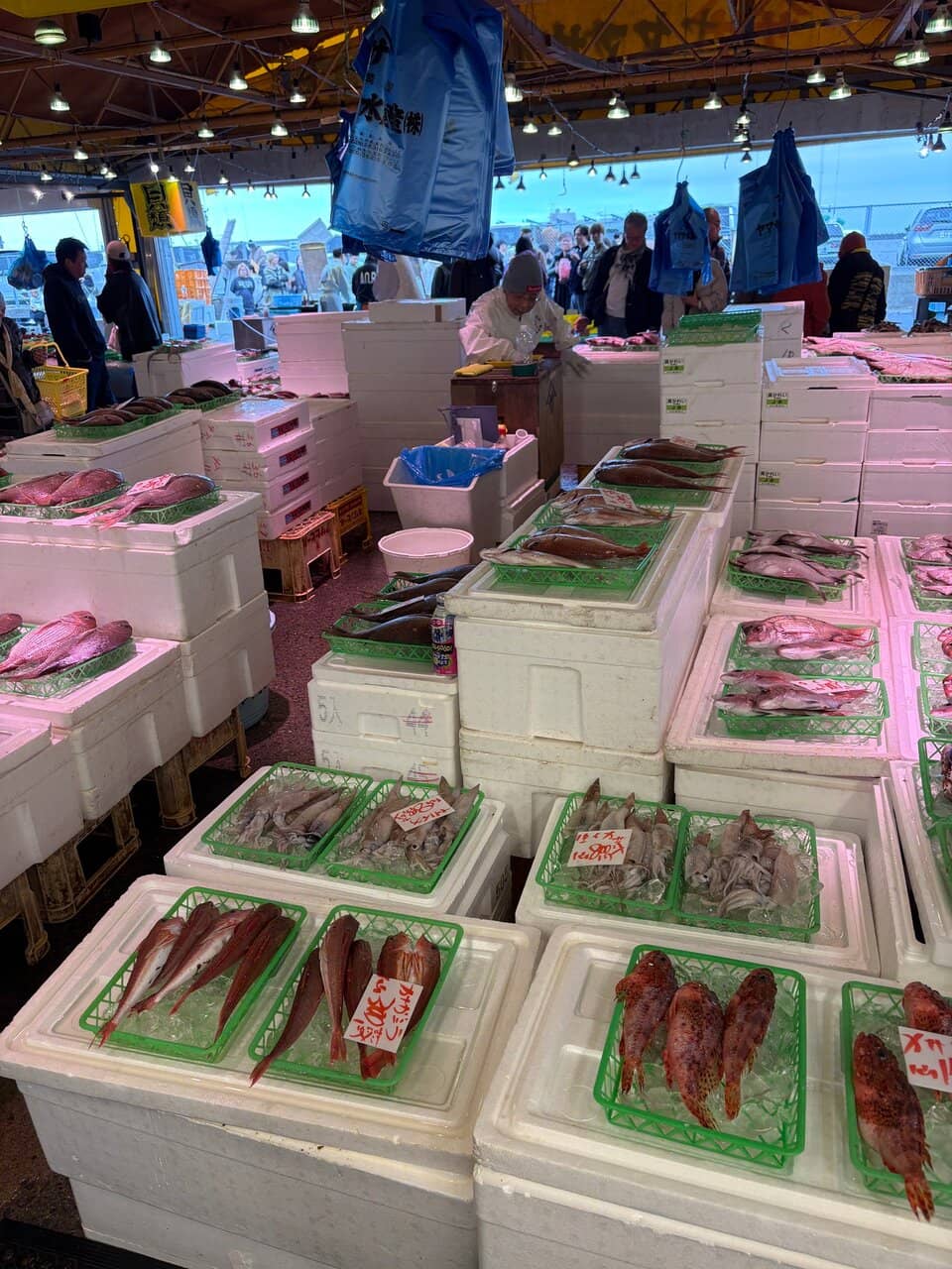 Angling Opportunities