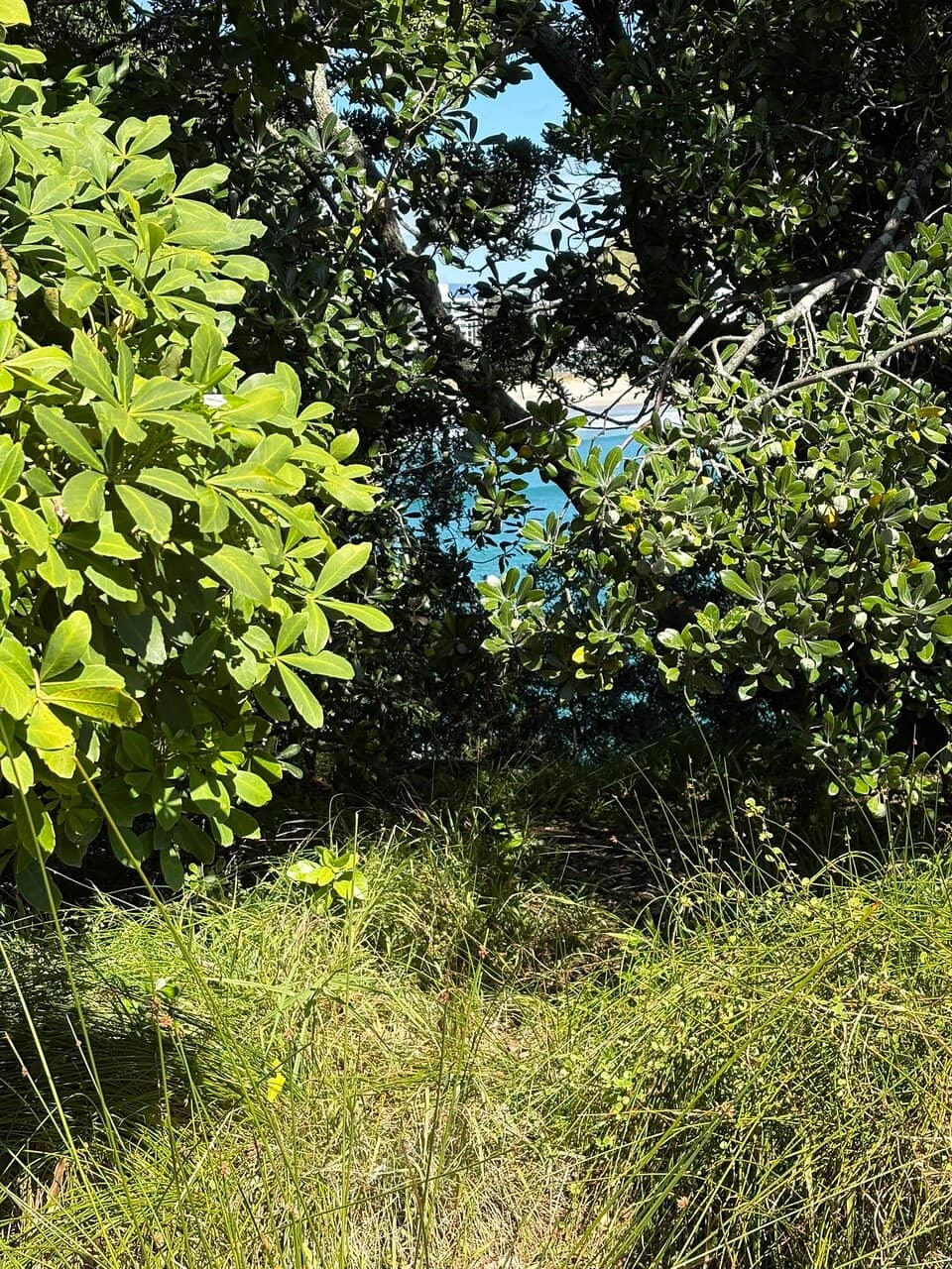Vertical photo