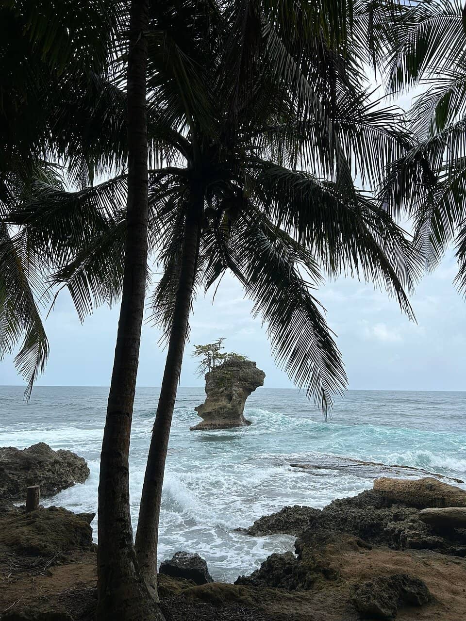 Vertical photo