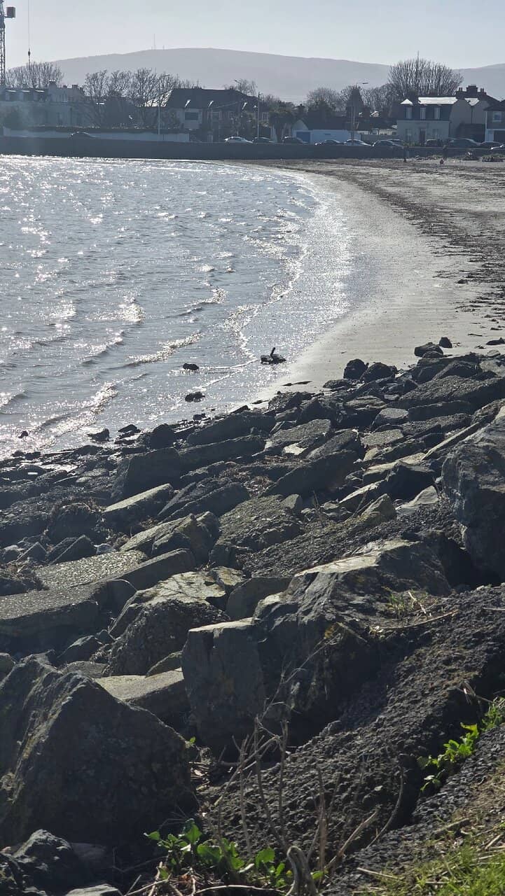 Vertical photo
