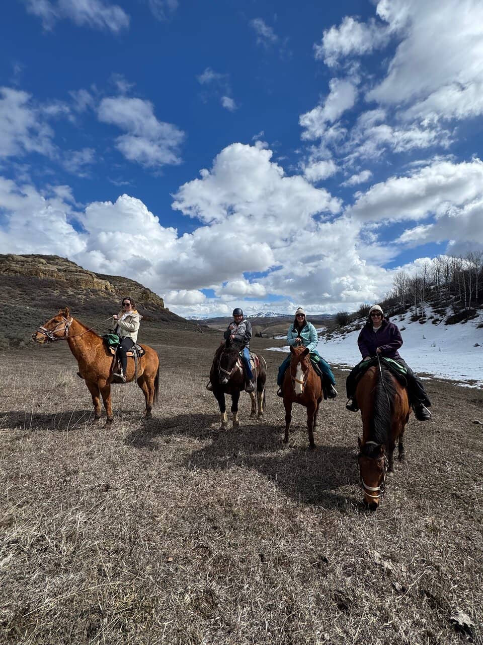 Scenic Horseback Riding