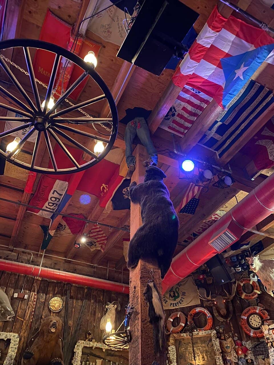 The Legendary Duck Fart Shot